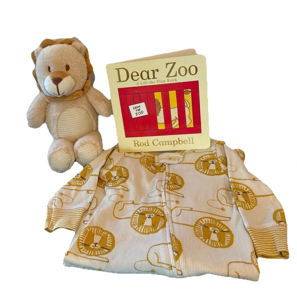 Baby Boy Shower Gift, Newborn Bedtime Gift Box, Infant Lion New Baby Welcome Box